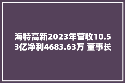 海特高新2023年营收10.53亿净利4683.63万 董事长万涛薪酬70.35万