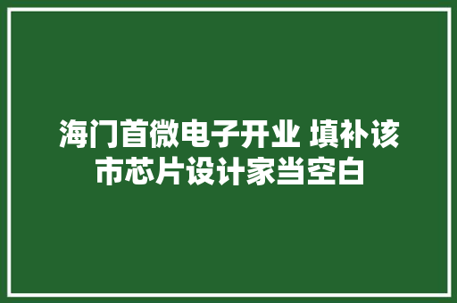海门首微电子开业 填补该市芯片设计家当空白
