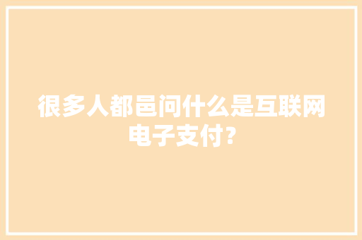 很多人都邑问什么是互联网电子支付？