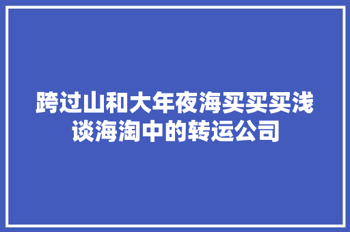 跨过山和大年夜海买买买浅谈海淘中的转运公司