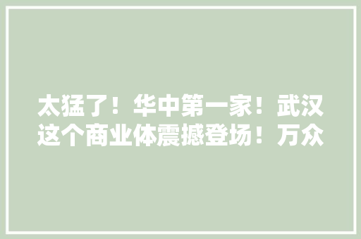 太猛了！华中第一家！武汉这个商业体震撼登场！万众期待