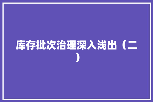库存批次治理深入浅出（二）