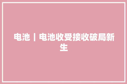 电池｜电池收受接收破局新生