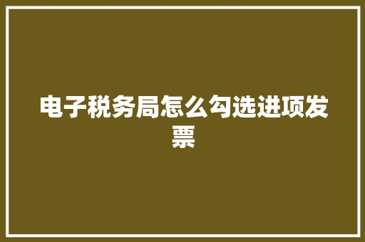 电子税务局怎么勾选进项发票