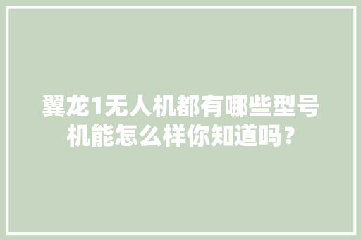 翼龙1无人机都有哪些型号机能怎么样你知道吗？
