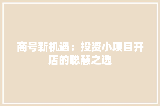商号新机遇：投资小项目开店的聪慧之选