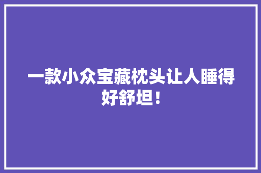 一款小众宝藏枕头让人睡得好舒坦！