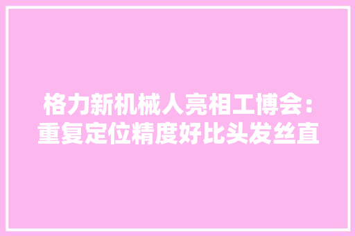格力新机械人亮相工博会：重复定位精度好比头发丝直径1/2