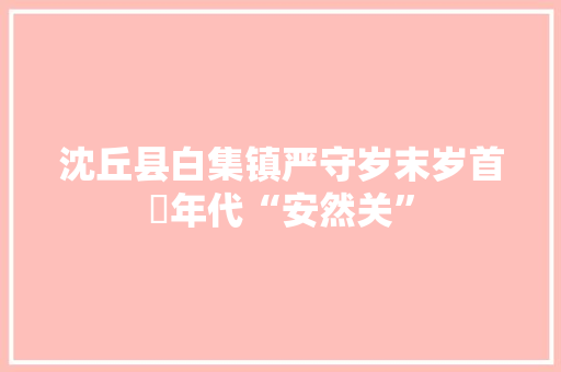 沈丘县白集镇严守岁末岁首年代“安然关”