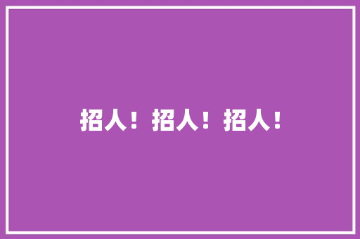 招人！招人！招人！