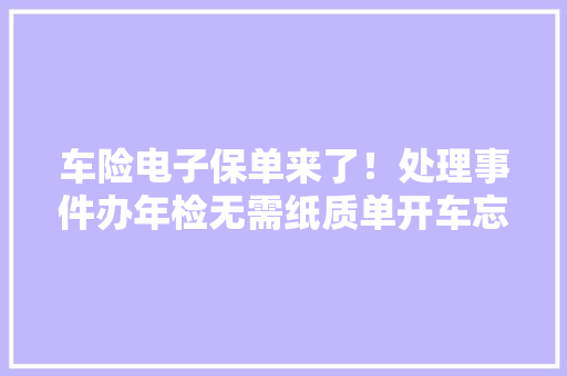 车险电子保单来了！处理事件办年检无需纸质单开车忘贴交强险标志也不会罚款了