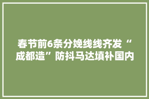 春节前6条分娩线线齐发“成都造”防抖马达填补国内行业空白