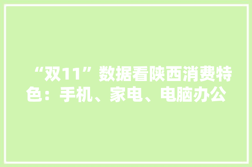 “双11”数据看陕西消费特色：手机、家电、电脑办公、家具、数码热销