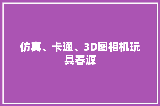 仿真、卡通、3D图相机玩具春源