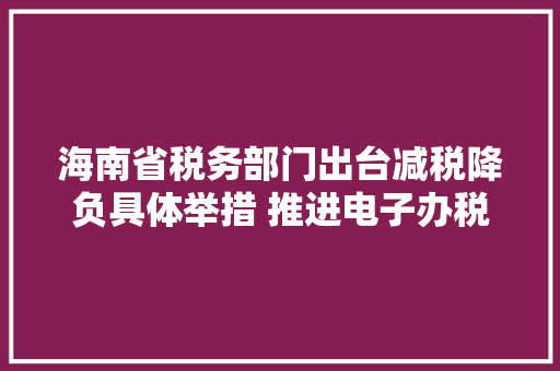 海南省税务部门出台减税降负具体举措 推进电子办税