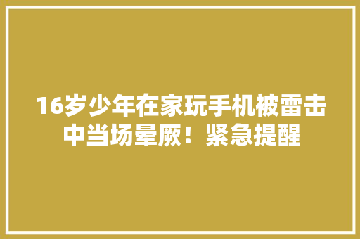 16岁少年在家玩手机被雷击中当场晕厥！紧急提醒