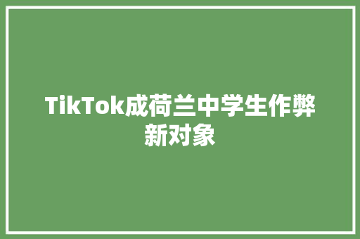 TikTok成荷兰中学生作弊新对象