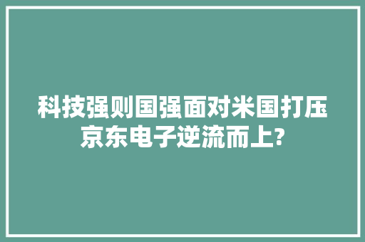 科技强则国强面对米国打压京东电子逆流而上?