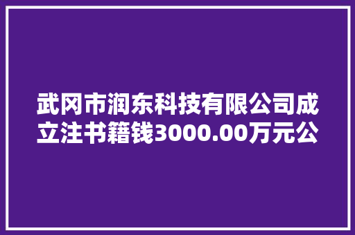 武冈市润东科技有限公司成立注书籍钱3000.00万元公民币