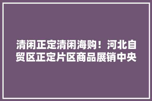 清闲正定清闲海购！河北自贸区正定片区商品展销中央开业