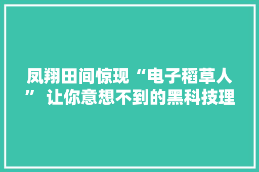 凤翔田间惊现“电子稻草人” 让你意想不到的黑科技理解下