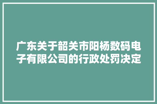 广东关于韶关市阳杨数码电子有限公司的行政处罚决定书  南府罚决字〔2023〕第02号