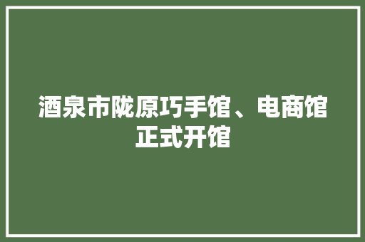 酒泉市陇原巧手馆、电商馆正式开馆