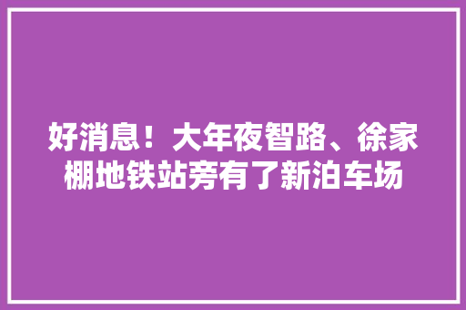 好消息！大年夜智路、徐家棚地铁站旁有了新泊车场