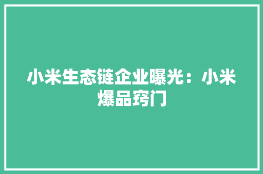 小米生态链企业曝光：小米爆品窍门