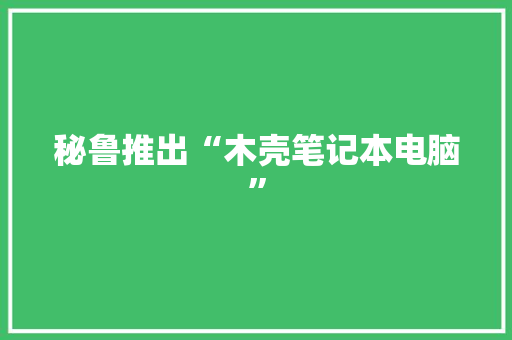 秘鲁推出“木壳笔记本电脑”