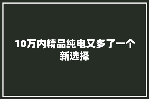 10万内精品纯电又多了一个新选择