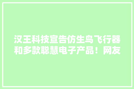 汉王科技宣告仿生鸟飞行器和多款聪慧电子产品！网友：炫酷又实用