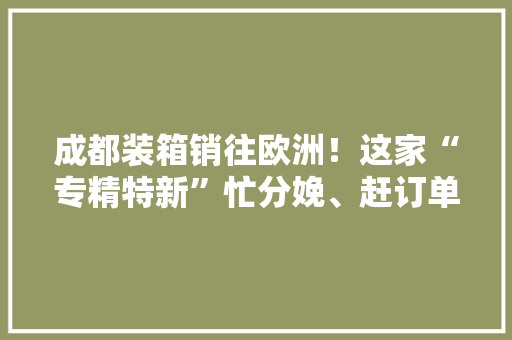 成都装箱销往欧洲！这家“专精特新”忙分娩、赶订单、扩产能……