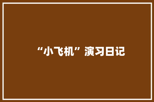 “小飞机”演习日记
