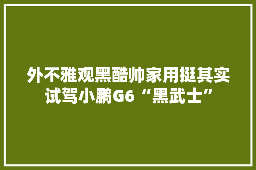 外不雅观黑酷帅家用挺其实试驾小鹏G6“黑武士”