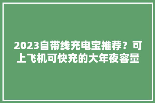 2023自带线充电宝推荐？可上飞机可快充的大年夜容量迷你充电宝推荐
