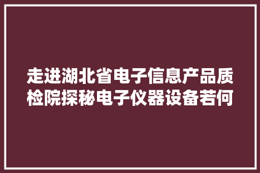 走进湖北省电子信息产品质检院探秘电子仪器设备若何体检人脸识别系统现场测试“捉”逃犯