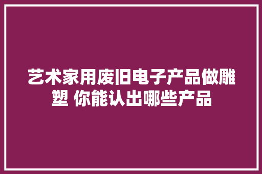 艺术家用废旧电子产品做雕塑 你能认出哪些产品
