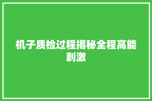 机子质检过程揭秘全程高能刺激