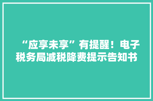 “应享未享”有提醒！电子税务局减税降费提示告知书来啦