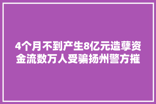 4个月不到产生8亿元造孽资金流数万人受骗扬州警方摧毁了这个“地下第四方支付平台”