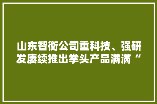 山东智衡公司重科技、强研发赓续推出拳头产品满满“含新量” 小弹簧做成大年夜家当