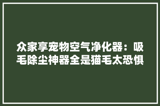 众家享宠物空气净化器：吸毛除尘神器全是猫毛太恐惧了