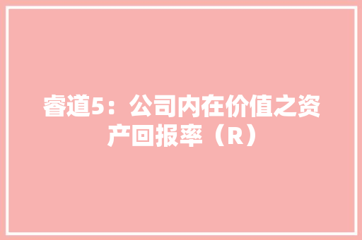 睿道5：公司内在价值之资产回报率（R）