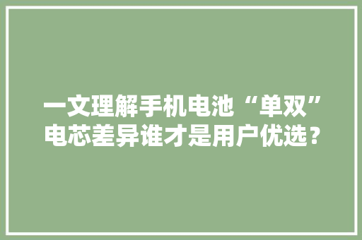 一文理解手机电池“单双”电芯差异谁才是用户优选？