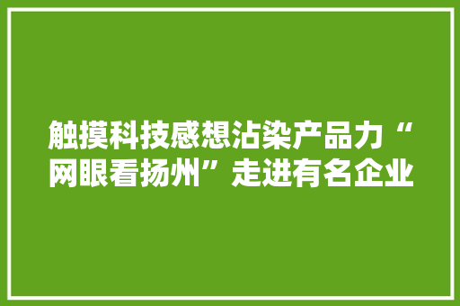 触摸科技感想沾染产品力“网眼看扬州”走进有名企业见识“新质分娩力”