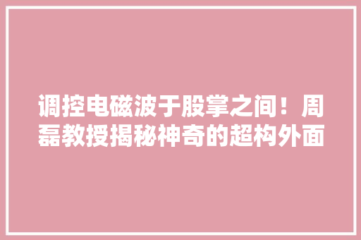 调控电磁波于股掌之间！周磊教授揭秘神奇的超构外面