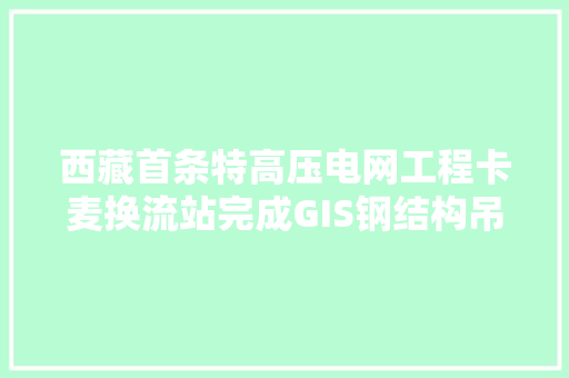 西藏首条特高压电网工程卡麦换流站完成GIS钢结构吊装