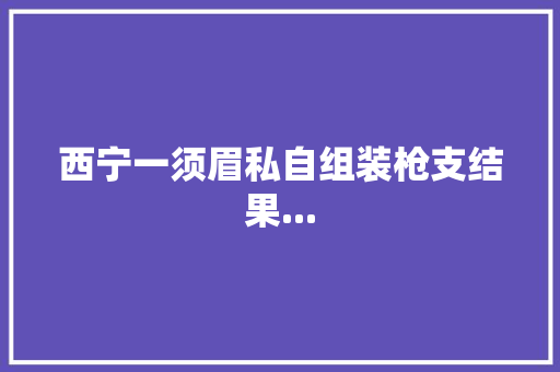 西宁一须眉私自组装枪支结果...