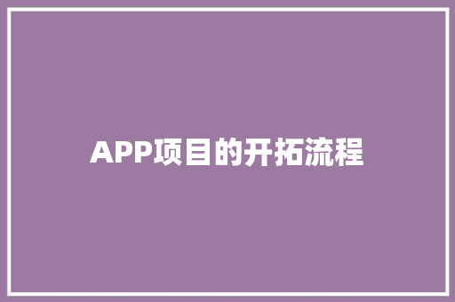 APP项目的开拓流程